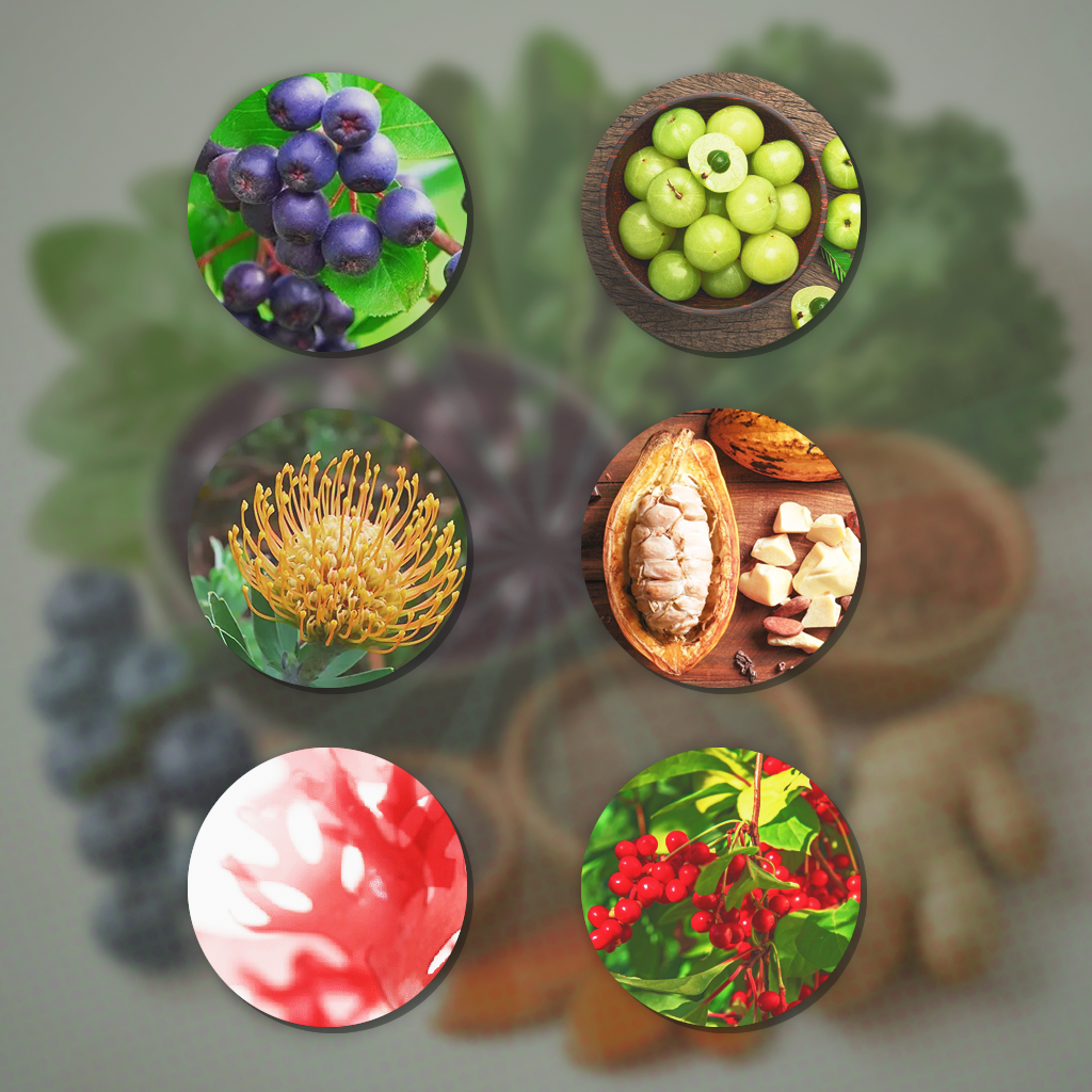 Ingredientes Naturais